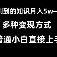 抖音刷到的知识，每天只需 2 小时，日入 2000+，暴力变现，普通小白直接上手