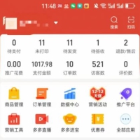 2025版多多冷门虚拟U盘项目玩法，单店铺月变现1w+，稳赚不赔