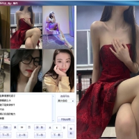 PC全网美女写真爬取下载v2.90绿色福利修复版