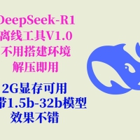 DeepSeek-R1工具