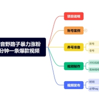 抖音暴力涨粉野路子，五分钟一条视频，适合新手小白！