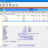 DiskGenius数据恢复v5.6.0.1565汉化破解绿色版