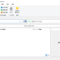 UltraSearch 文件搜索神器Pro v4.6.1.1102 便携版