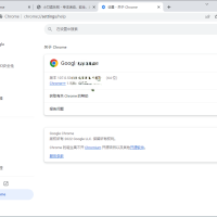Google Chrome v139.0.7258.155增强版