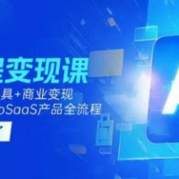 AI编程变现课：掌握Cursor工具+商业变现，一年学会MicroSaaS产品全流程