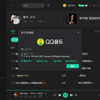 QQ音乐PC客户端v21.71绿色版