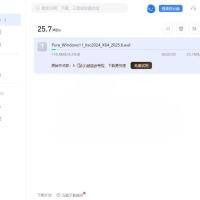 迅雷17 v25.0.82.1564绿色精简版