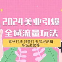2024 美业 · 引爆全域流量玩法：素材打法、付费打法、底层逻辑、私城运营等（31 节）