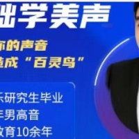 20节零基础学美声系统课程音乐舞蹈