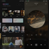 安卓聆听音乐Ver v1.6.0无损音乐下载听歌