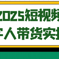 2025短视频数字人带货实操课