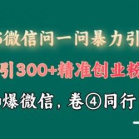 2025最新微信问一问暴力行为引流术揭密，日引300 自主创业粉，单日转现四位数