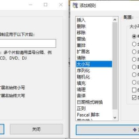 文件批量重命名ReNamerPro_7.7.0.2汉化优化版