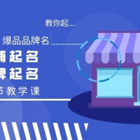 教你起“爆店店铺名、爆品品牌名”，店铺起名，品牌起名（12节课）