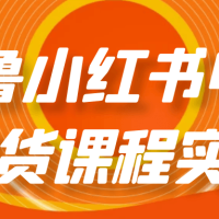 老鲁小红书电商带货课程实操