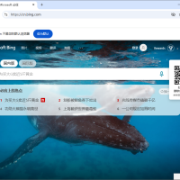 Ungoogled-Chromium v133.0.6943.98-1.1 中文绿色版