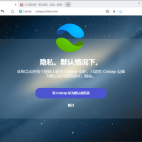猫眼浏览器v138.5.7.1便携版