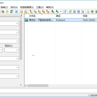 Mp3tag(音乐标签编辑器) v3.340便携汉化版