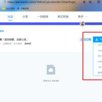 六大网盘不限速下载