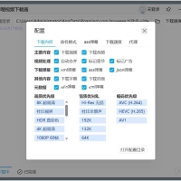 哔哩哔哩视频下载器v0.1.0全都支持便携版