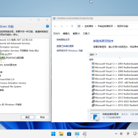 小修Win11 LTSC 26100.4351精简版