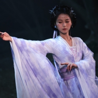 《美女，请别影响我成仙全球版》中文版