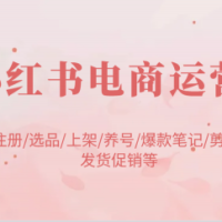 小红书电商经营：开实体店申请注册/选款/发布/起号/爆品手记/视频编辑/安排发货促销等