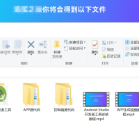 网站转换APP源代码 WebAPP源代码 网站生成APP源代码 Flutter项目 带控制端