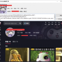 DYFans某音粉丝查看工具,v1.0.0.1