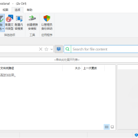 UltraSearch搜索v4.8.1.1181便携版