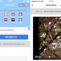 短视频去水印的小程序源码