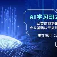 AI 学习班 2.0 ：从菜鸟到学霸，夯实基础从干货到硬货，重在应用（17 节课）