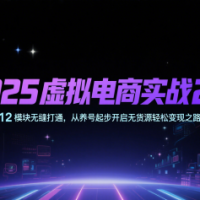 2025虚拟电商实战2.0，12模块无缝打通，从养号起步开启无货源轻松变现之路