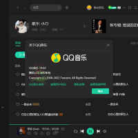QQ音乐PC客户端v21.61绿色版