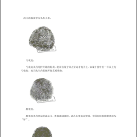 [手相]最齐全的手相汇总PDF文档