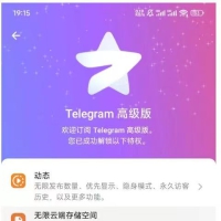 telegram+Twitter推特X版+无限邮箱合集 ，能接验证码
