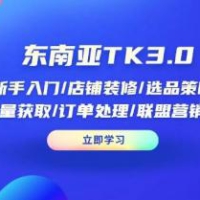 东南亚TK3.0：新手入门/店铺装修/选品策略/流量获取/订单处理/联盟营销等