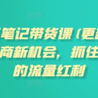 张宾小红书笔记带货课(更新25年3月)流量电商新机会