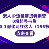 繁星 · 计划素人 IP 流量带货特训营：0 粉起号带货，从 0-1 孵化网红达人（156节）