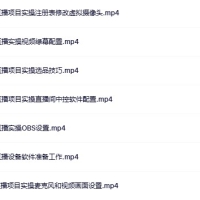 抖音无人直播3.0玩法