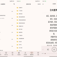 安卓听佛经v5.1纯净版