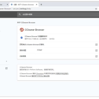 CCleaner浏览器Browser v139.0.31974中文版