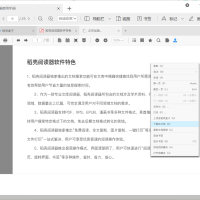 稻壳阅读器DocBoxv2.12.74绿色版