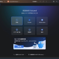GoLand v2026.2.0 高级版