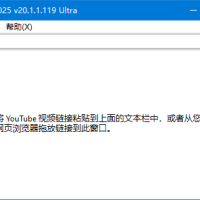 MassTube YouTube视频下载工具 Plus v20.1.2.124 多语便携版
