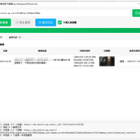 微信公众号音视频下载器v1.3下载