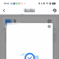 闪盒分身9.9解锁版--支持某钉打卡，支持安卓15，最近很火的包