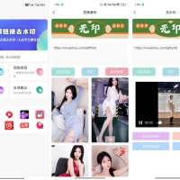 无印去水印-支持一键批量解析