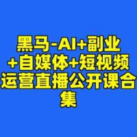 黑马-AI+副业+自媒体+短视频运营直播公开课合集