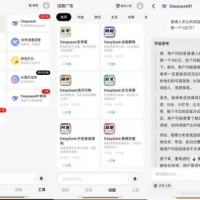 问小白-DeepSeek满血版无限制